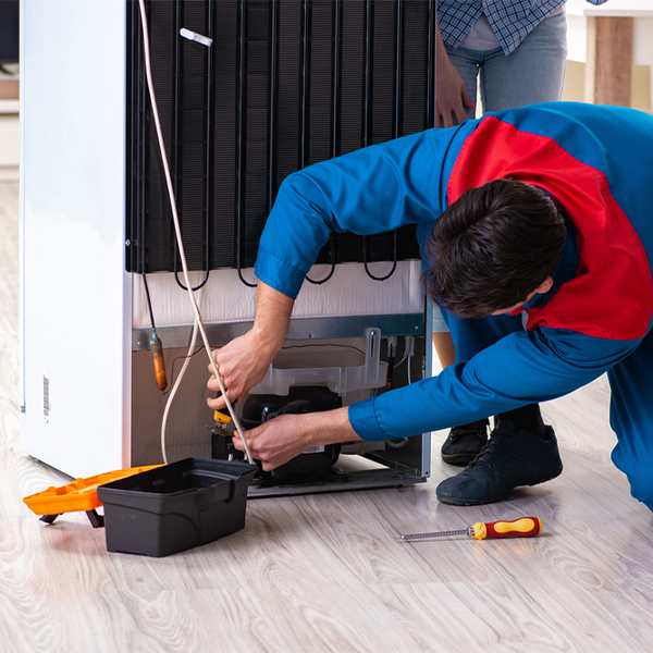 what are the common refrigerator repair services in Diaperville WI